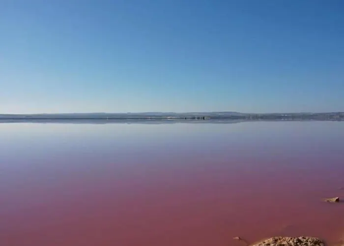 Casa Del Sol Wi-fi Pool Air Condition 700m Appartement *